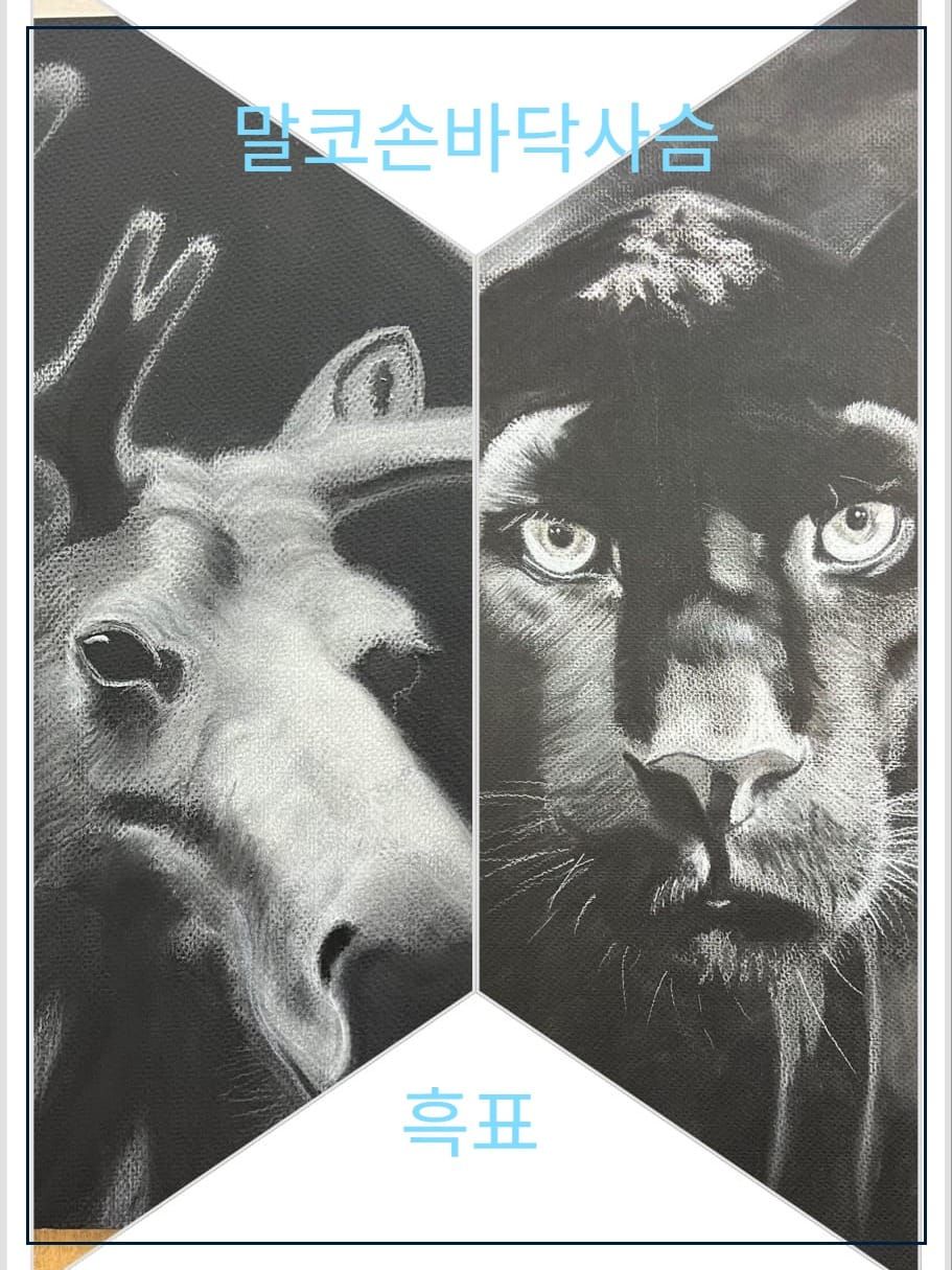 말코손바닥사슴과 흑표 [그림을 그려보는 중 13]