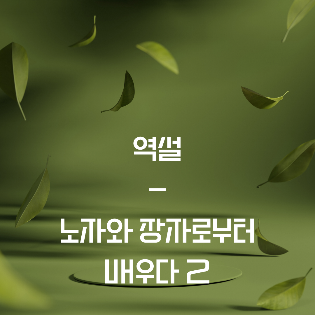 역설 - 노자와 장자로부터 배우다 2