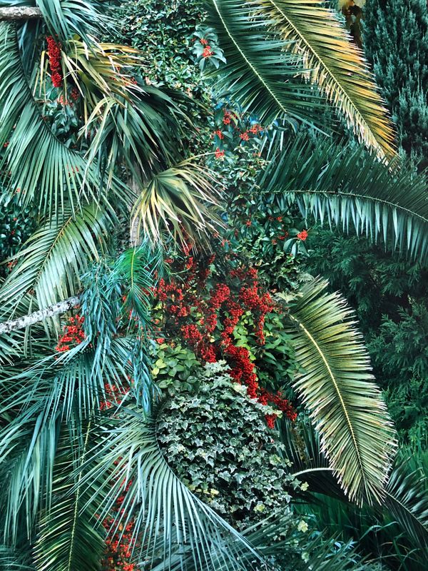 원성원_아라리오갤러리 [아트렉처 연재 23]