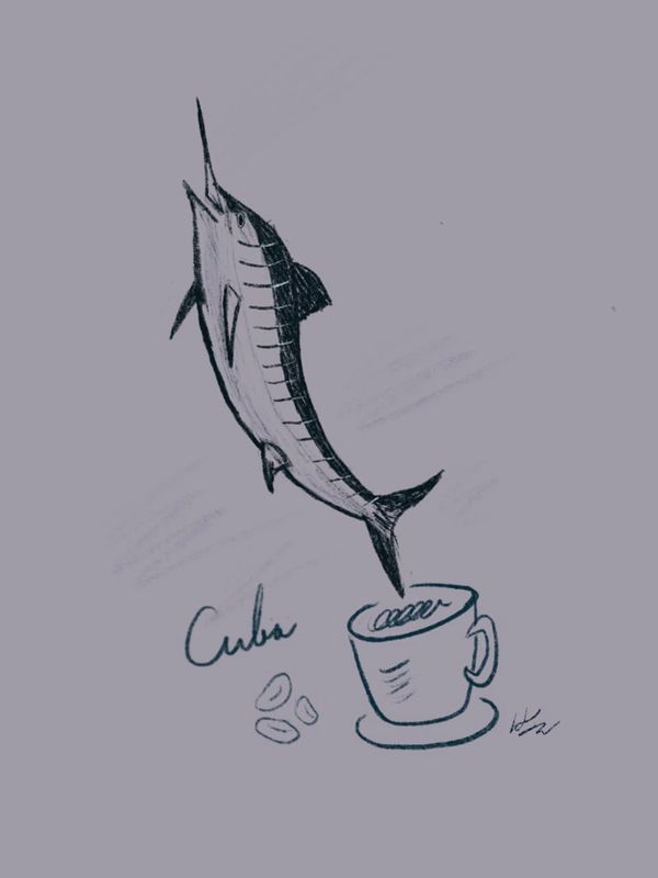 쿠바 크리스탈 마운틴 커피와 헤밍웨이, 그리고 ⟪노인과 바다⟫