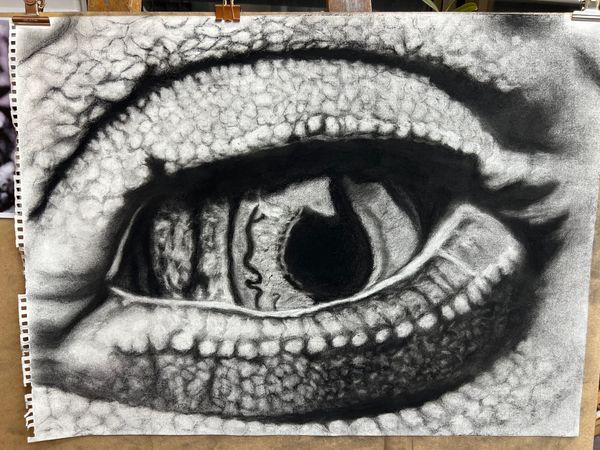 눈 eye 그림 시리즈_목탄&콩테 [그림을 그려보는 중 15]