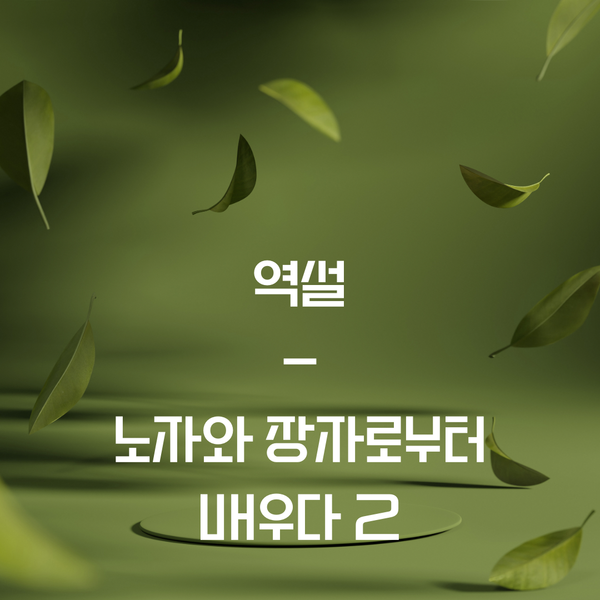 역설 - 노자와 장자로부터 배우다 2