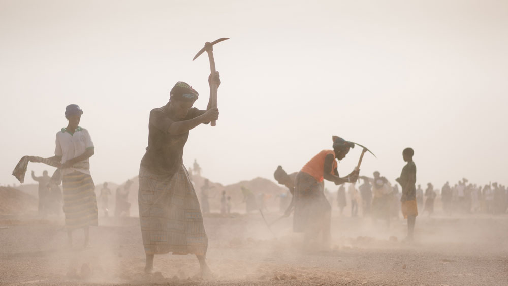 50-reasons-to-use-ecosia-01-