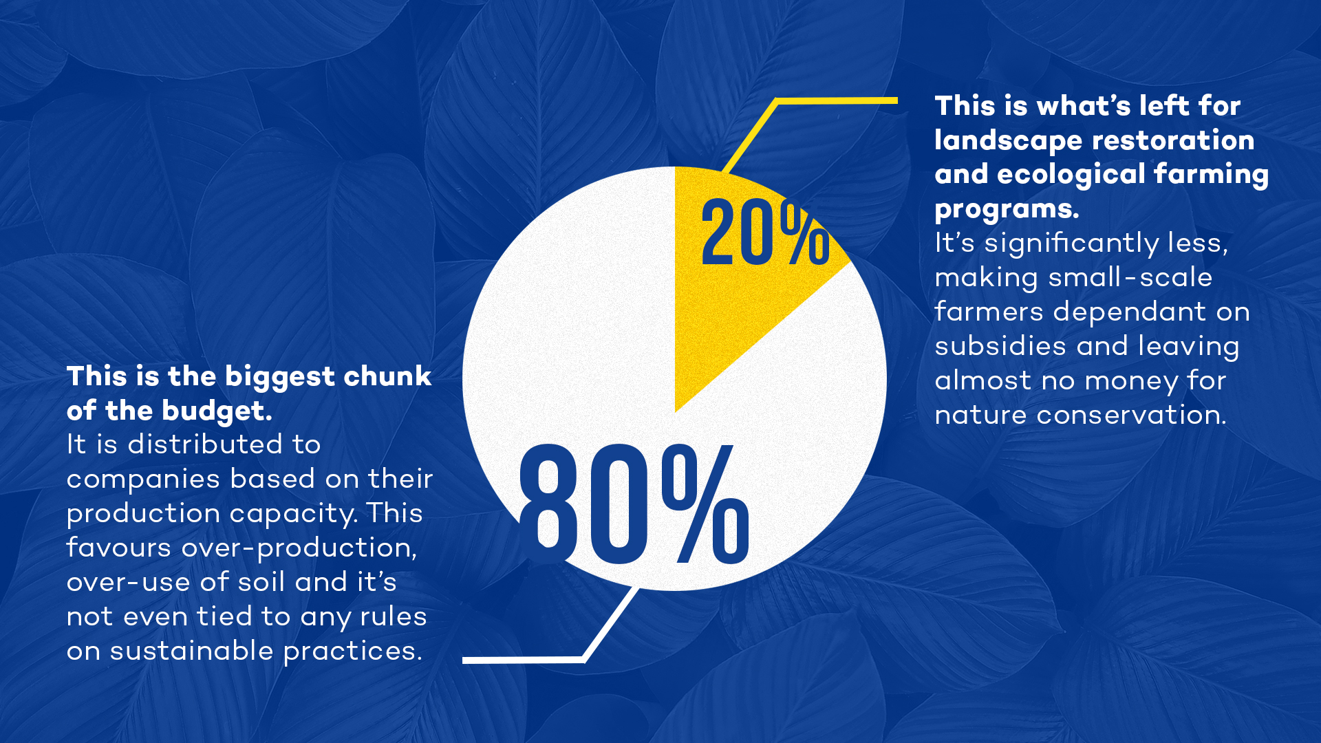 170519_EU-Elections_blog_6