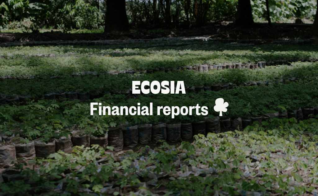 Ecosia's financial reports