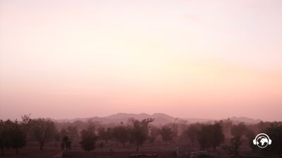 Trees not profits: we're giving up our right to ever sell Ecosia