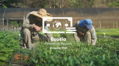 In December, we spent €533,080 on trees