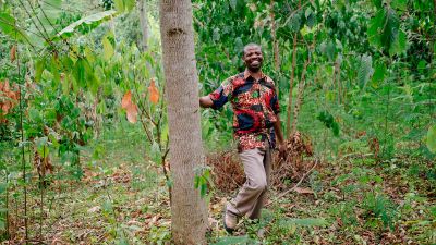 Do Ecosia’s trees survive?