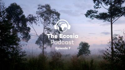 How to stay sane in the age of climate change