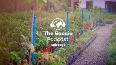 An Ecosia developer visits our reforestation project in Brazil