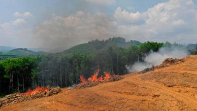 The Amazon fires are back and worse than ever, and it’s not just climate change that's to blame