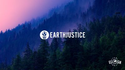 Your voice on climate counts: revenue from all US searches goes towards Earthjustice until polls close