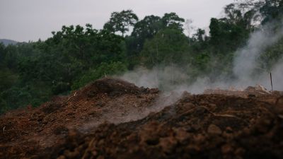 The Climate Crisis is a Health Crisis