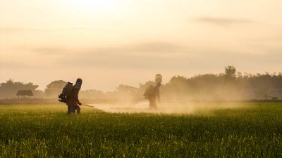 The Links Between Industrial Agriculture & Environmental Racism