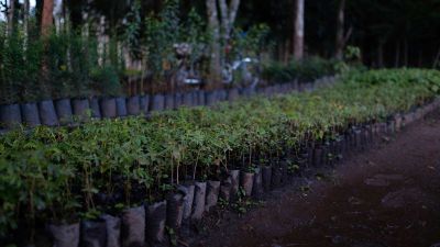 Decolonizing the climate change conversation