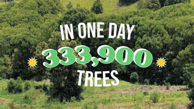 Thank you for fighting wildfires and restoring burnt forests!