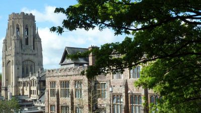 Ecosia on Campus: 140,000 trees and counting