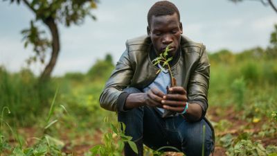 Tree-Planting Update: Episode 32