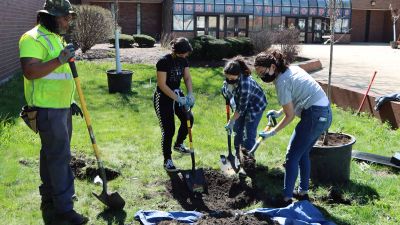 We’re launching our second urban tree equity project — in Chicago