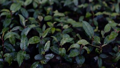 Why we are going (way) beyond neutral