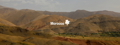 Your trees in Morocco