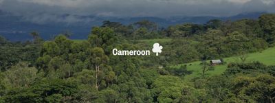 Your trees in Cameroon
