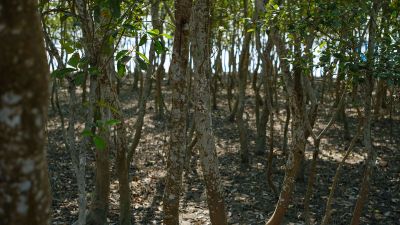 Forget sustainability reports. It’s time to ask a new question.