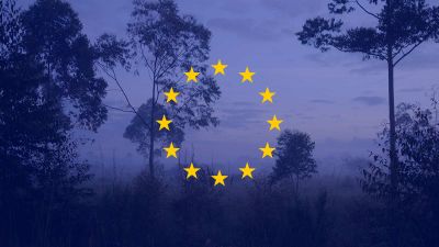 European elections have never mattered more