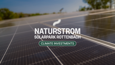 Powering change: Ecosia backs a solar future