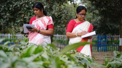 100%, 200%, 18 million: Our numbers in 2024