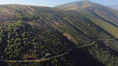 Wildfire recovery on land that belongs to no one – but serves everyone