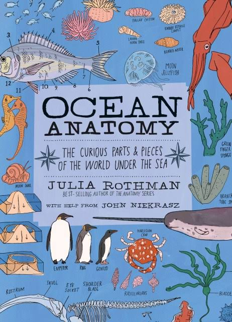 Cover of Ocean Anatomy: The Curious Parts & Pieces of the World Under the Sea by Julia Rothman, with help from John Niekrasz. Blue background illustrated with labeled drawings of ocean creatures and objects including a fish, squid, jellyfish, seahorse, penguins, crab, sea anemone, and various shells.