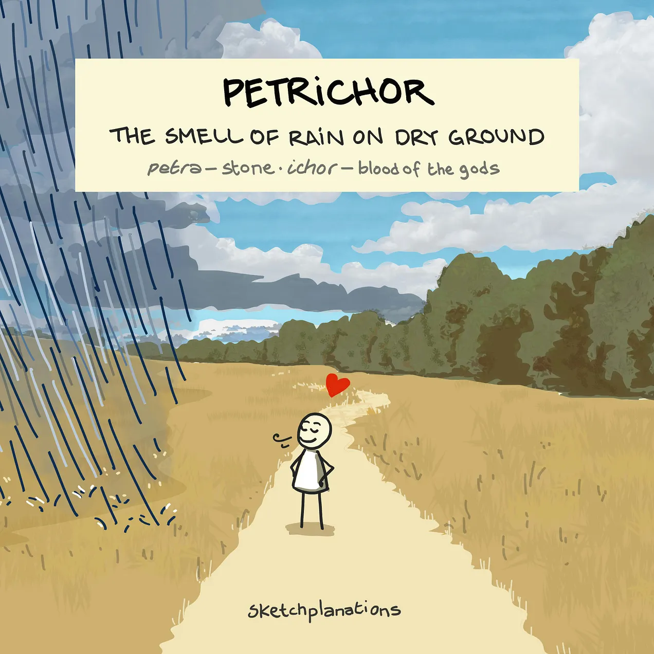Illustrated graphic titled "Petrichor: the smell of rain on dry ground," with the etymology "petra – stone, ichor – blood of the gods." A simple stick figure stands on a dirt path between a golden field and a line of trees, eyes closed and smiling with a small heart above its head, as rain falls from dark clouds on the left under a partly sunny sky. Credit: Sketchplanations.