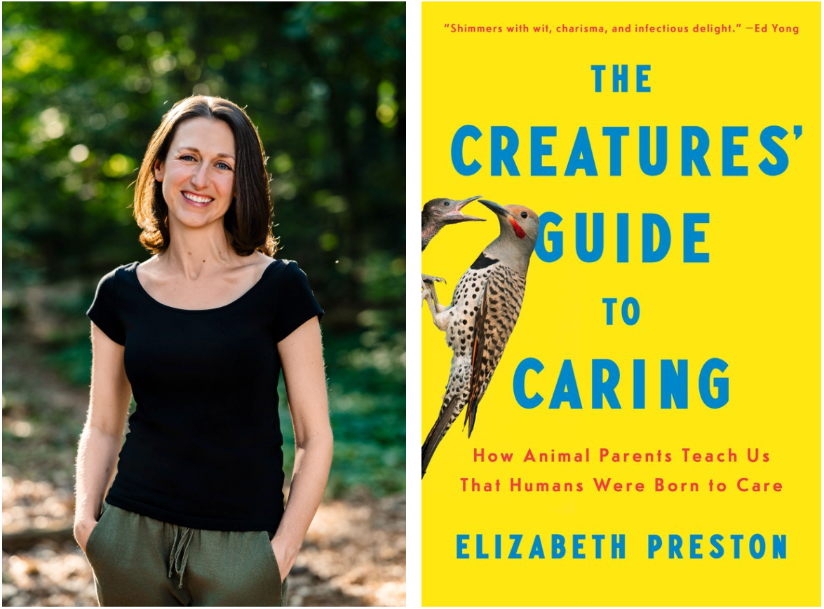Side-by-side of author Elizabeth Preston smiling outdoors in a wooded setting, next to the yellow cover of her book The Creature's Guide to Caring: How Animal Parents Teach Us That Humans Were Born to Care, featuring an illustration of an adult and baby woodpecker.