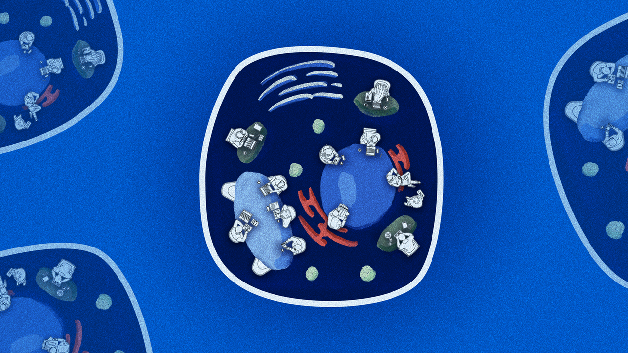 "Why did we need our own way of structuring our team?"