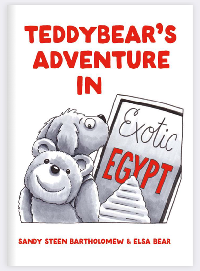 TeddyBear's Adventure