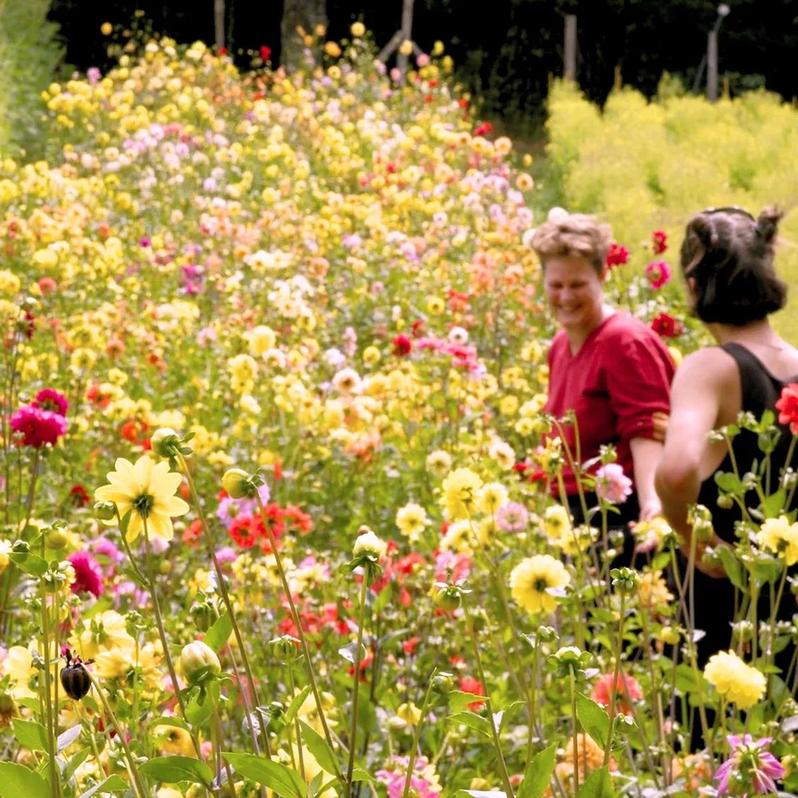 Prendre soin de l'humain et de la Terre