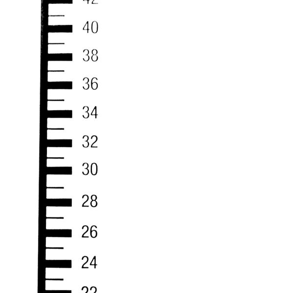 Chaque être humain est un penseur : perspectives d’une démocratie intérieure