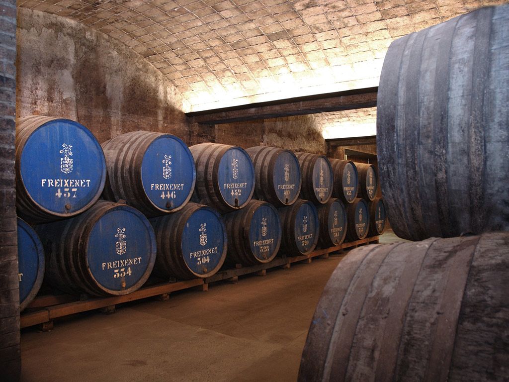 Le cantine di Freixenet