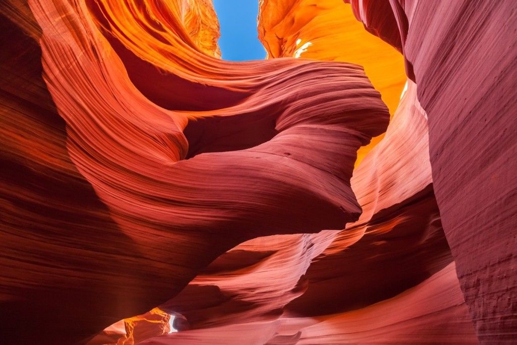 us-antelope-turtix-shutterstock