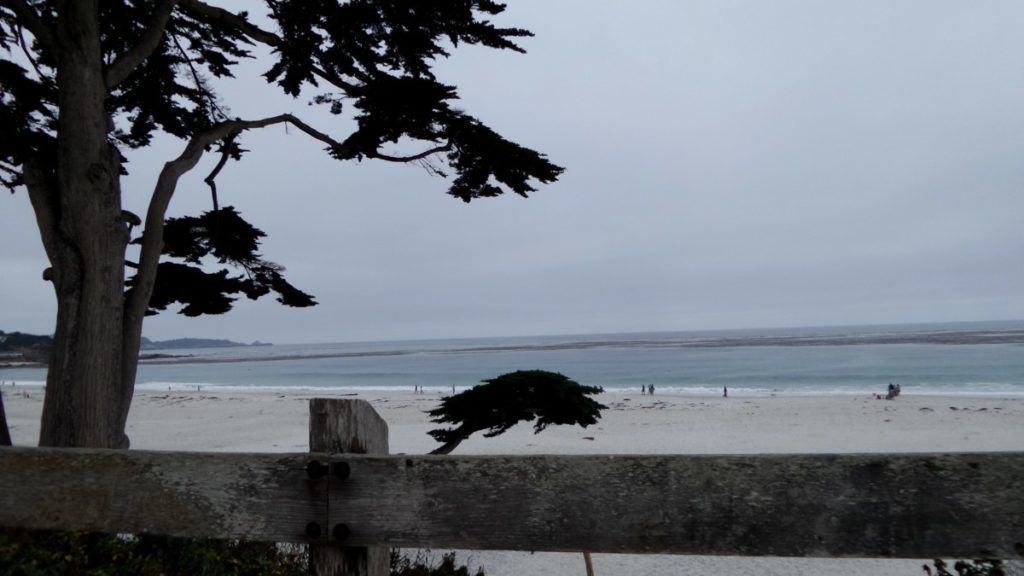 ilariaceriani_carmel-63-min