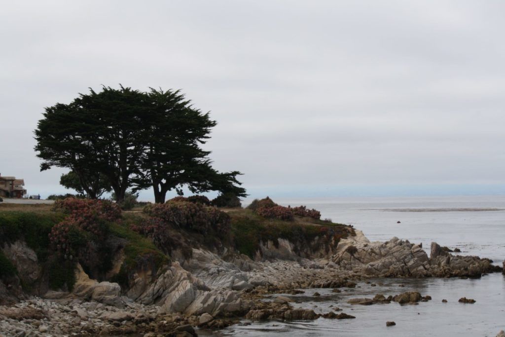 ilariaceriani_carmel-75-min