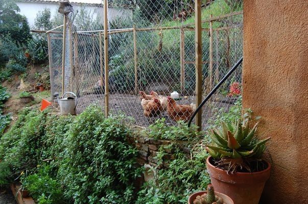 casas ecológicas para este verano