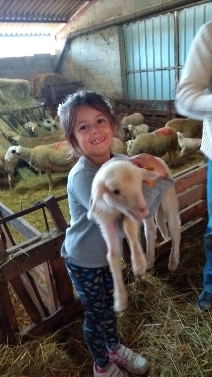 échange de maison Septfonds