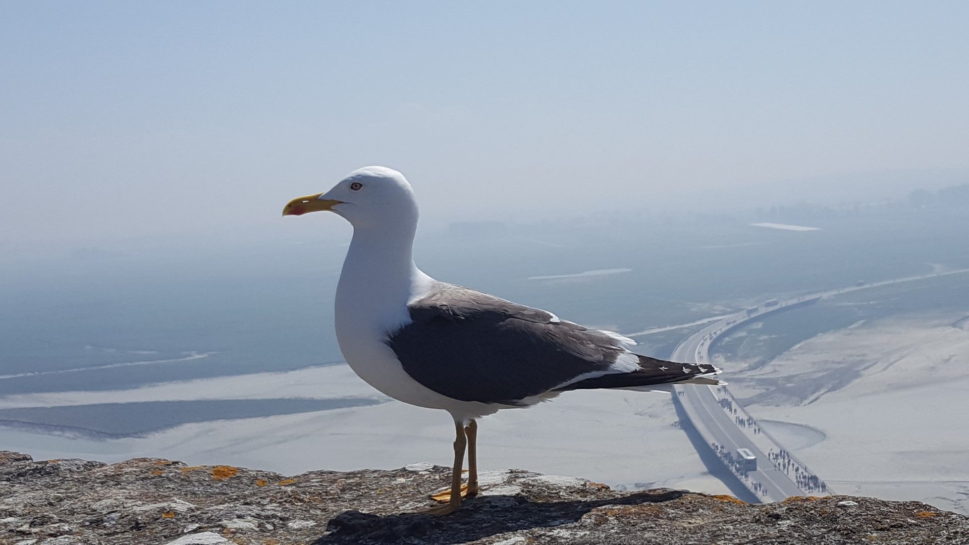 alla-scoperta-della-normandia