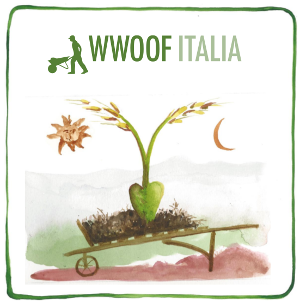 modi-alternativi-per-viaggiare