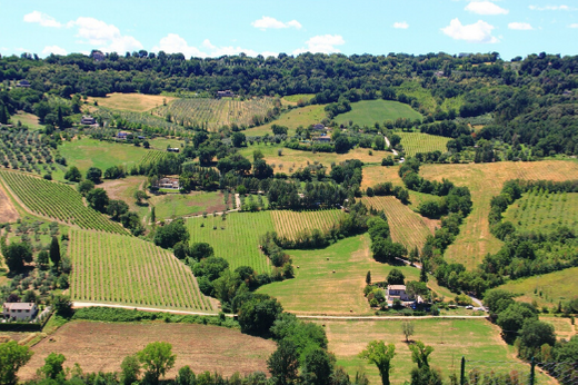 vacanze in campagna orvieto italia