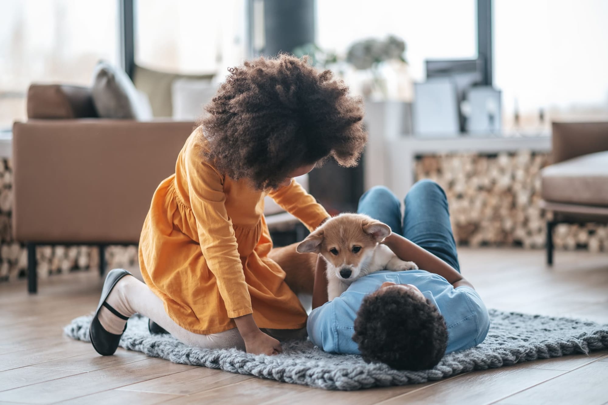 Bambini che giocano con un cane a casa - pet sitting grazie allo scambio casa