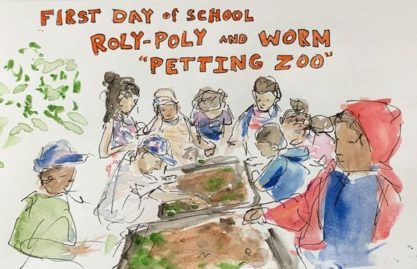 Sketch of small kids intently examining tubs of what looks like soil and leaves: a "petting zoo" with worms and roly-polies.