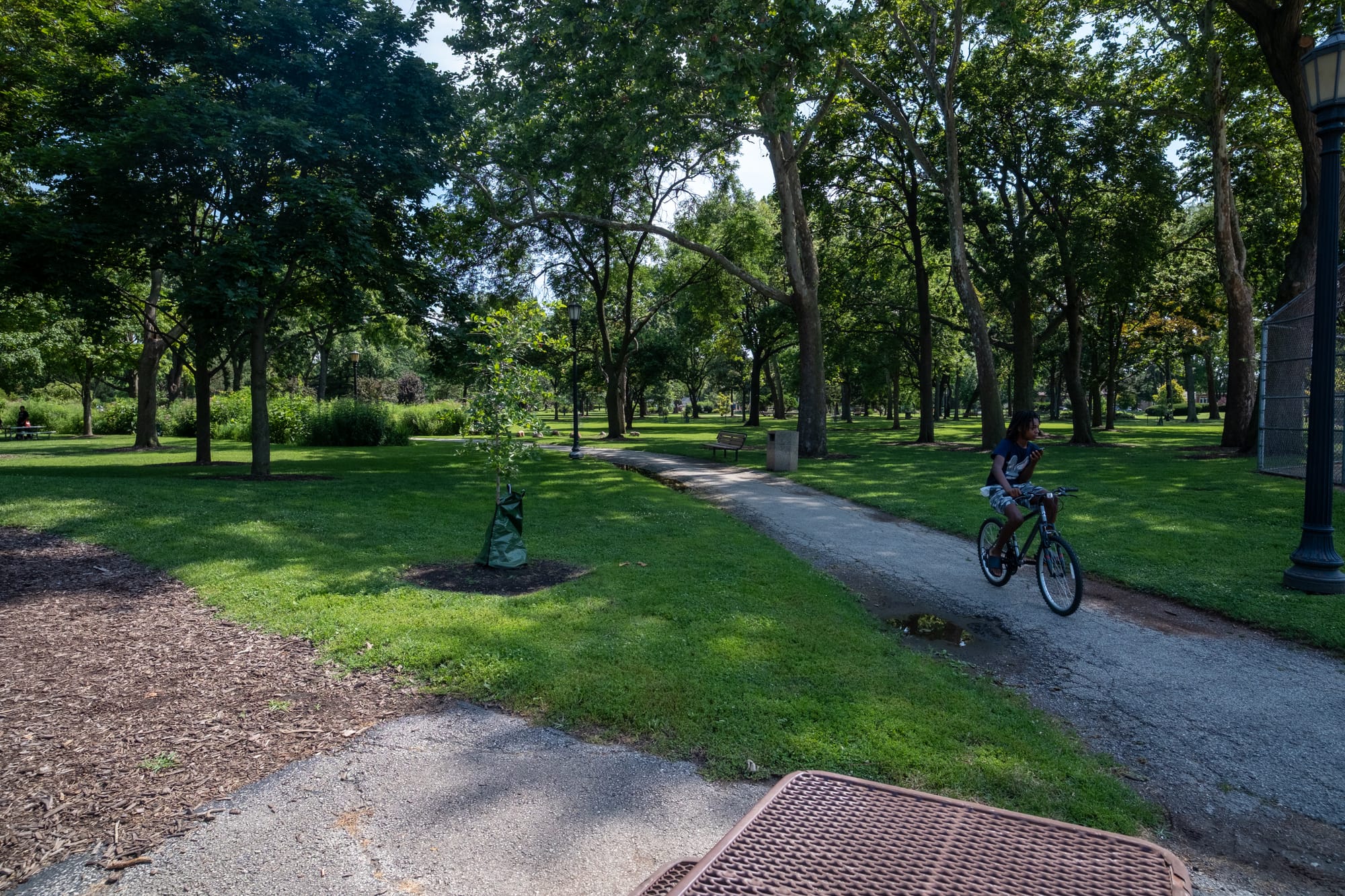 A quiet neighborhood park featuring lush green grass, mature trees, and a paved walking path. A person rides a bicycle along the path, passing benches and a tall lamp post.